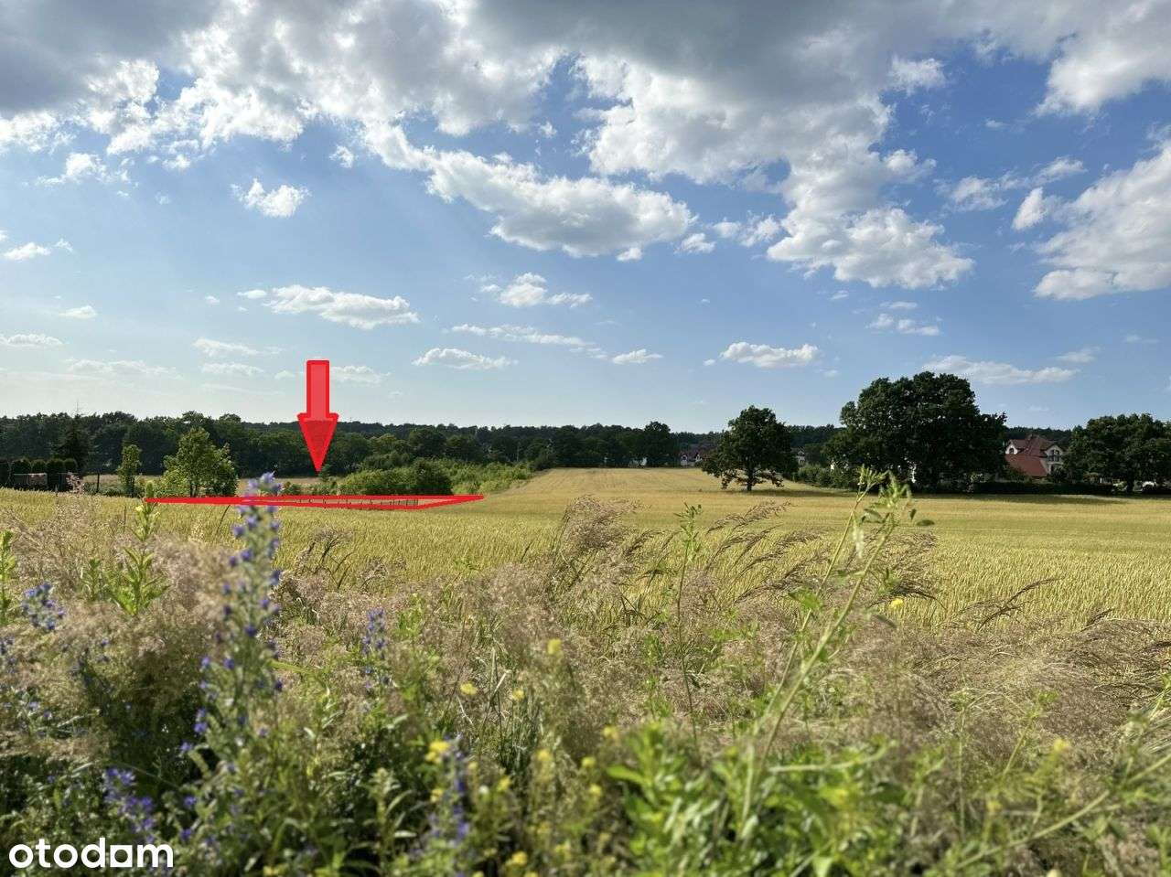 Działka przy lesie z pięknym widokiem | 0%