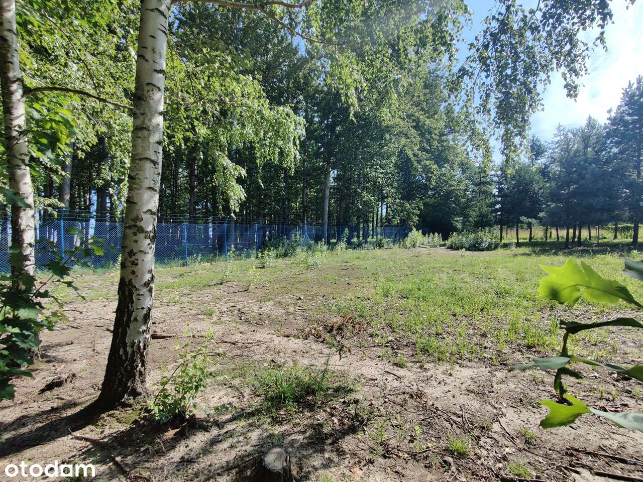 Ogrodzona rolno-budowlana w Janowie-16