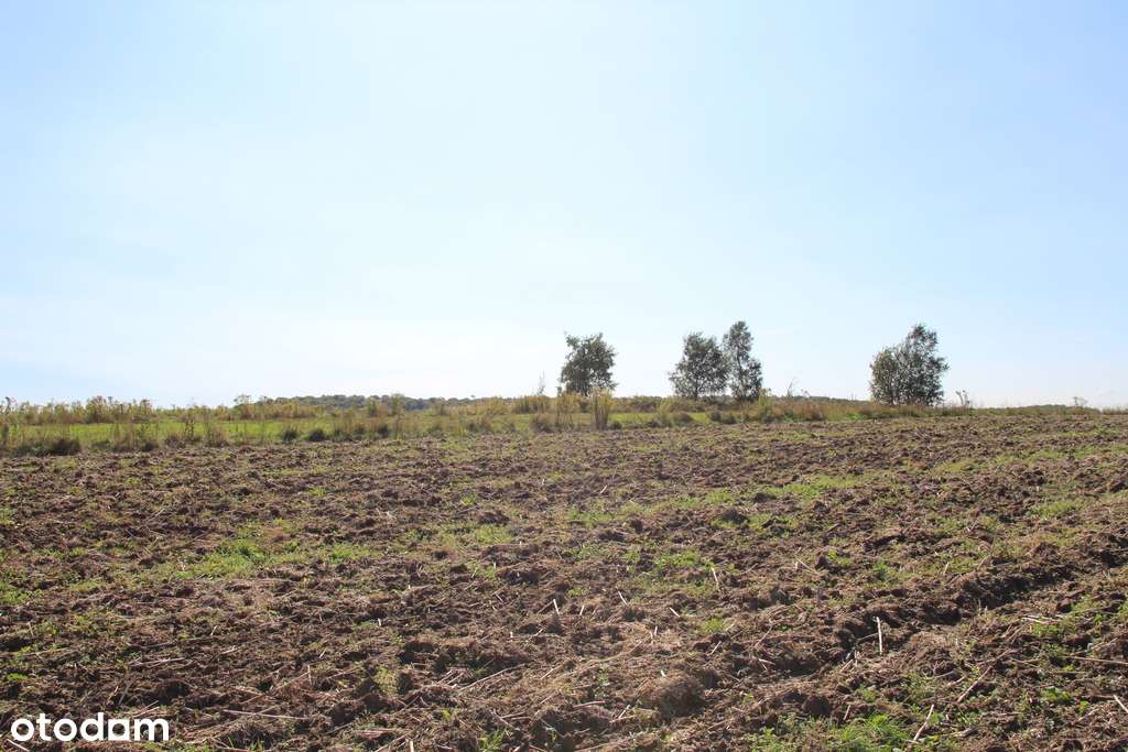 Działka budowlano - rolna przy Parku Ojcowskim-8
