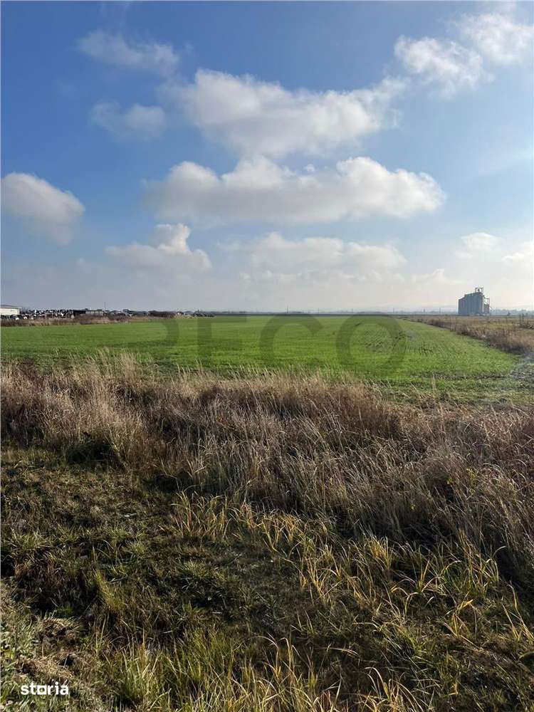 RECO Teren extravilan 11509 mp cu front la E60 -Sacadat - Imagine principală: 3/5