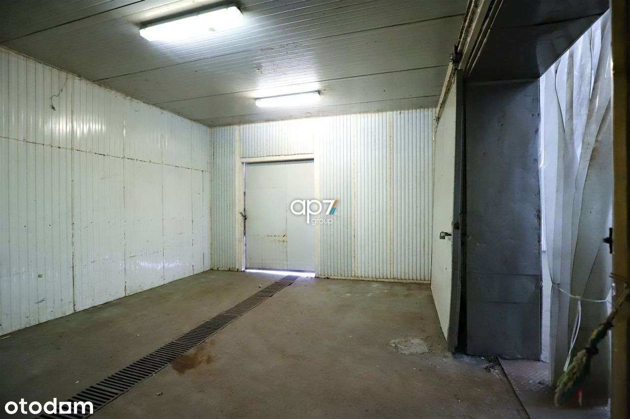 Hala/Magazyn, 300 m², Kraków - Pełny obrazek: 3/7