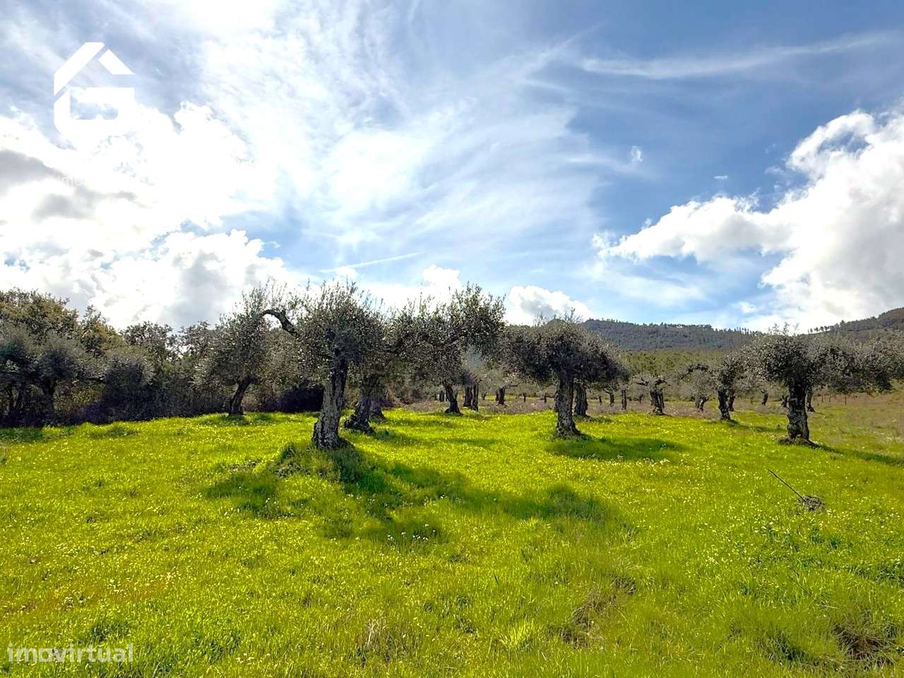 Herdade  Venda em Penamacor,Penamacor-8