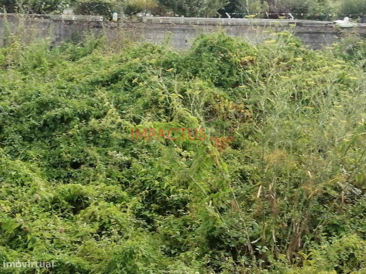 Terreno com viabilidade de construção em altura - Grande imagem: 5/10