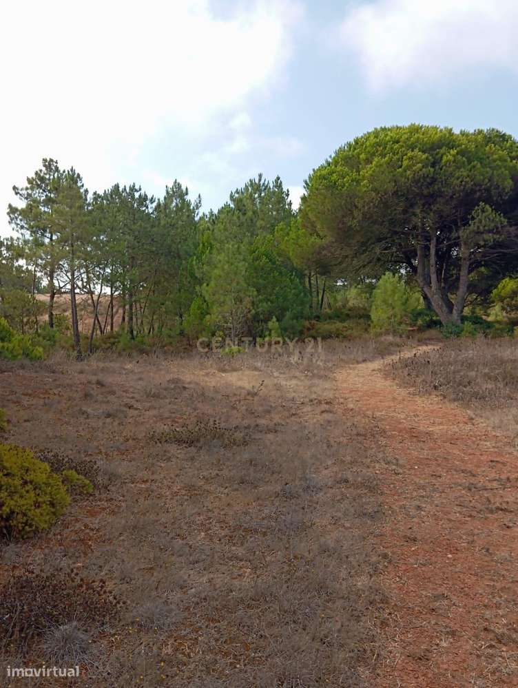 Terreno com área de 10.000m2 com projeto aprovado perto da Aldeia do M-11