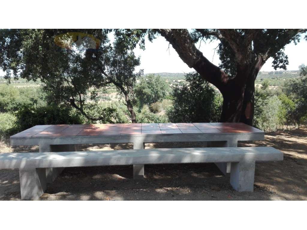 Propriedade com 7,8 ha | Exploração de vinhas, olival, montado de s... - Grande imagem: 4/15