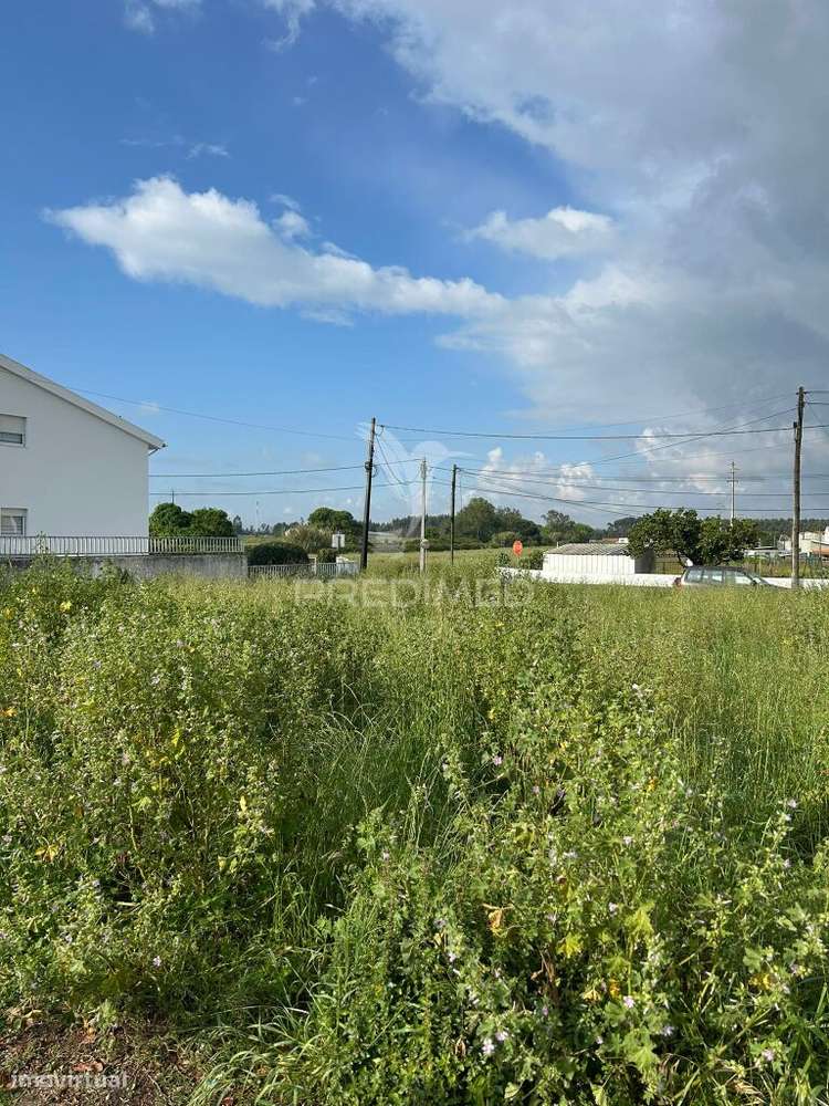 Terreno urbano com 546 m² e duas frentes em São Bernardo – Aveiro - Grande imagem: 4/6