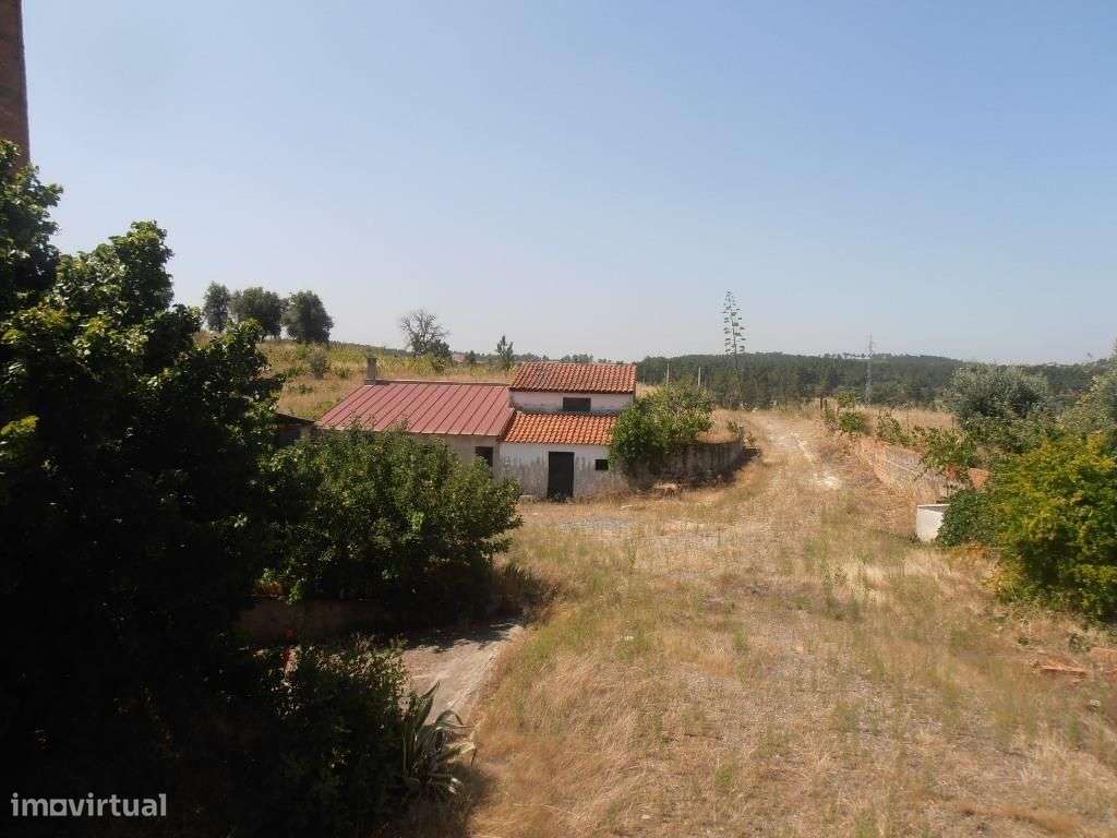 Quinta - Grande imagem: 4/20