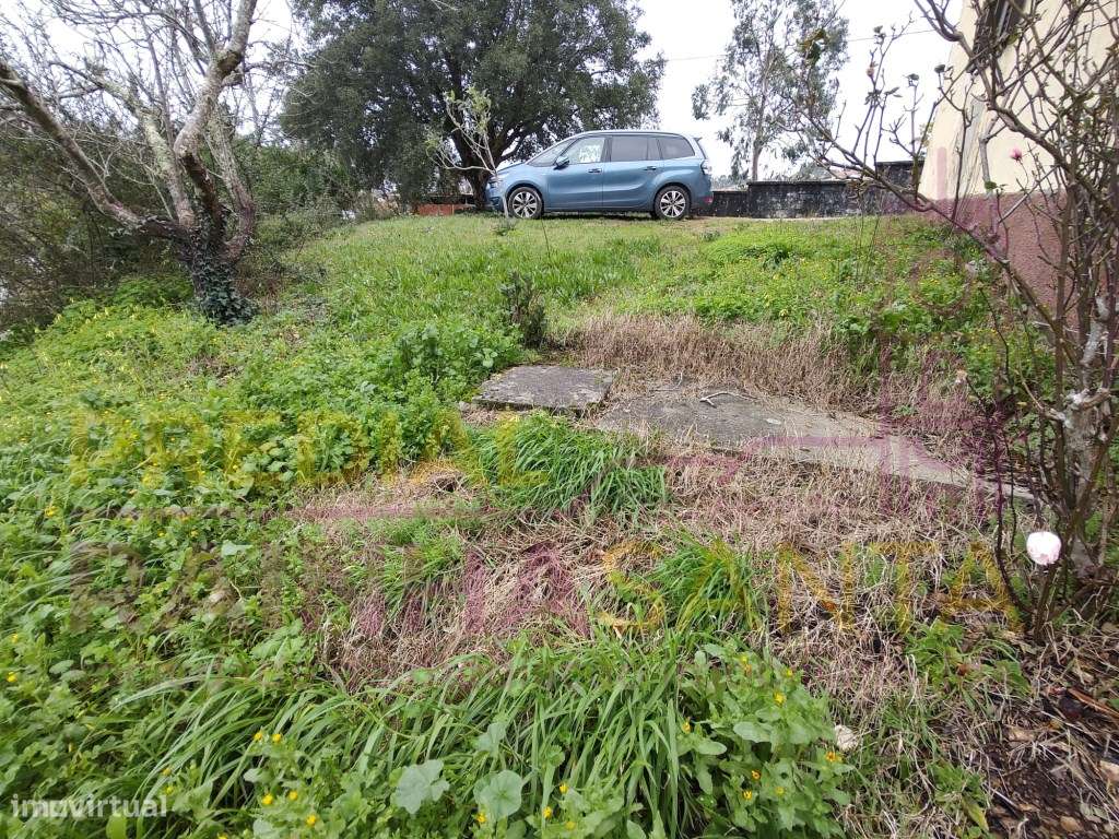 Moradia c/ 5000 m2 terreno , anexos, furo. 16 Km de Coimbra. - Grande imagem: 4/25