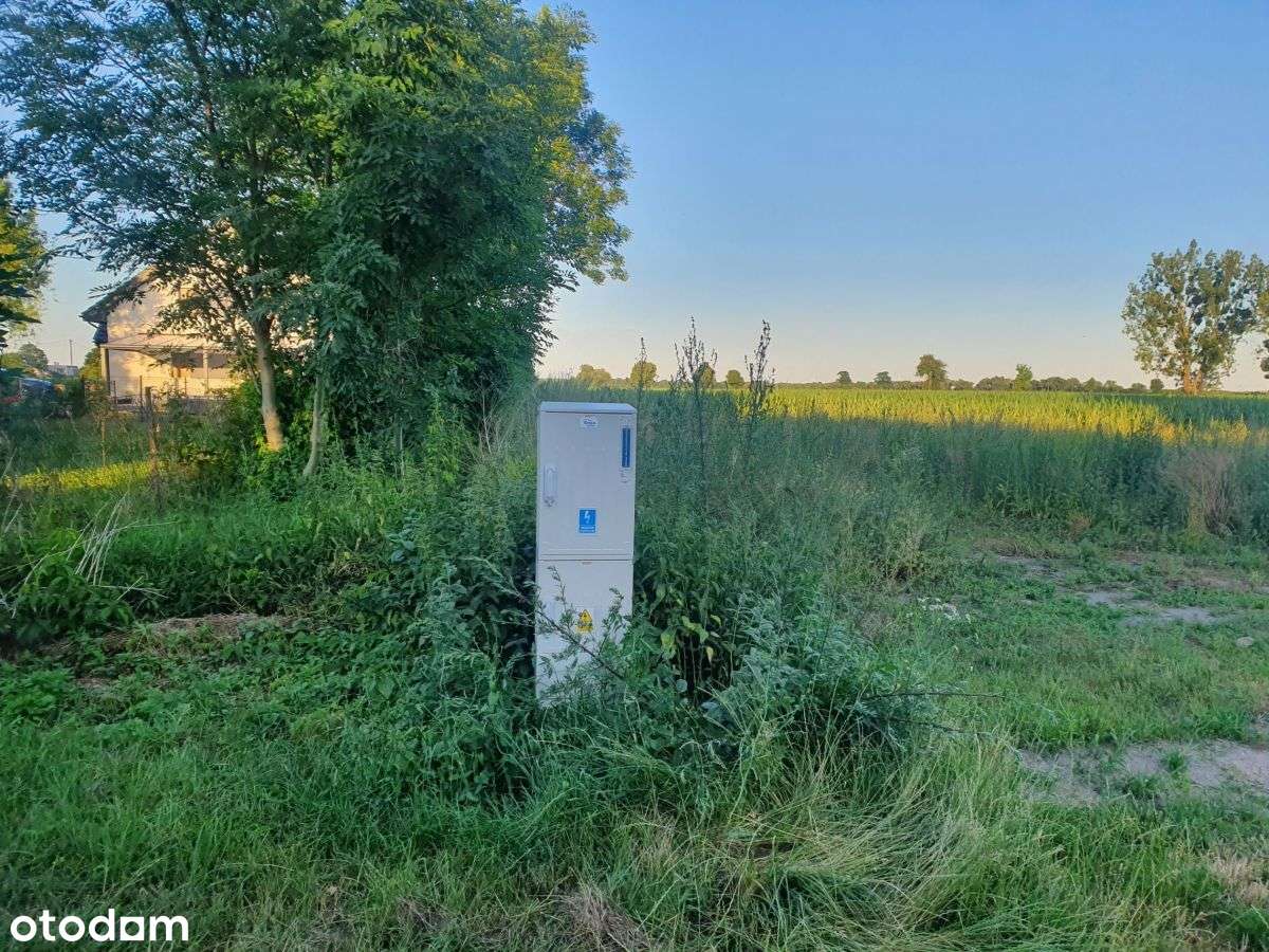 Goniczki k/Wrześni działka budowlana-13
