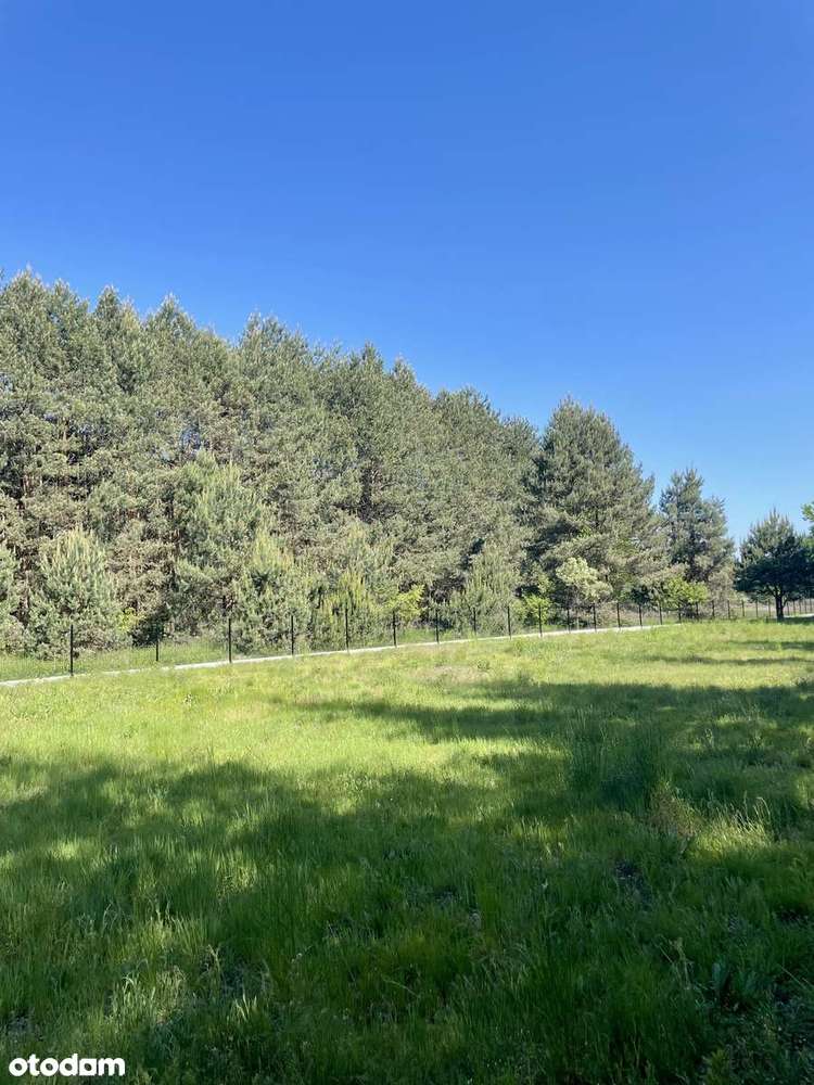 Działka budowlana - pod kameralne osiedle lub dom marzeń wśród natury - Pełny obrazek: 4/11