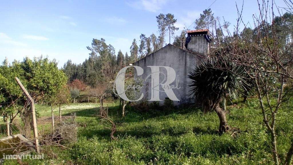 Moradia em pedra em Figueiró dos Vinhos com terreno e poço de água-25