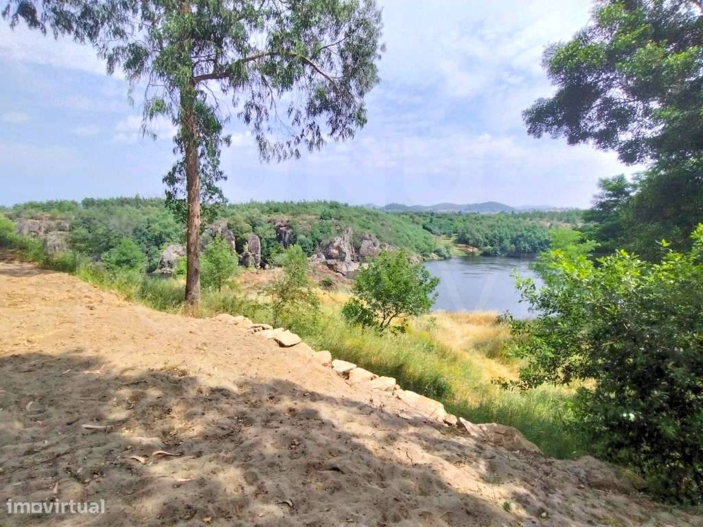 Terreno em Monção com Vinha e Vista Rio - Grande imagem: 4/9