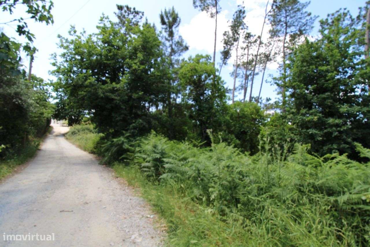 Terreno com Viabilidade de Construção - Orgens - Viseu - Grande imagem: 5/12
