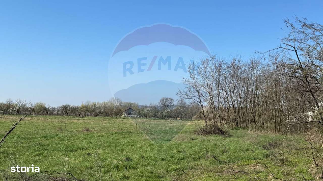 De vânzare  Teren intravilan, Merișor - Imagine principală: 4/4