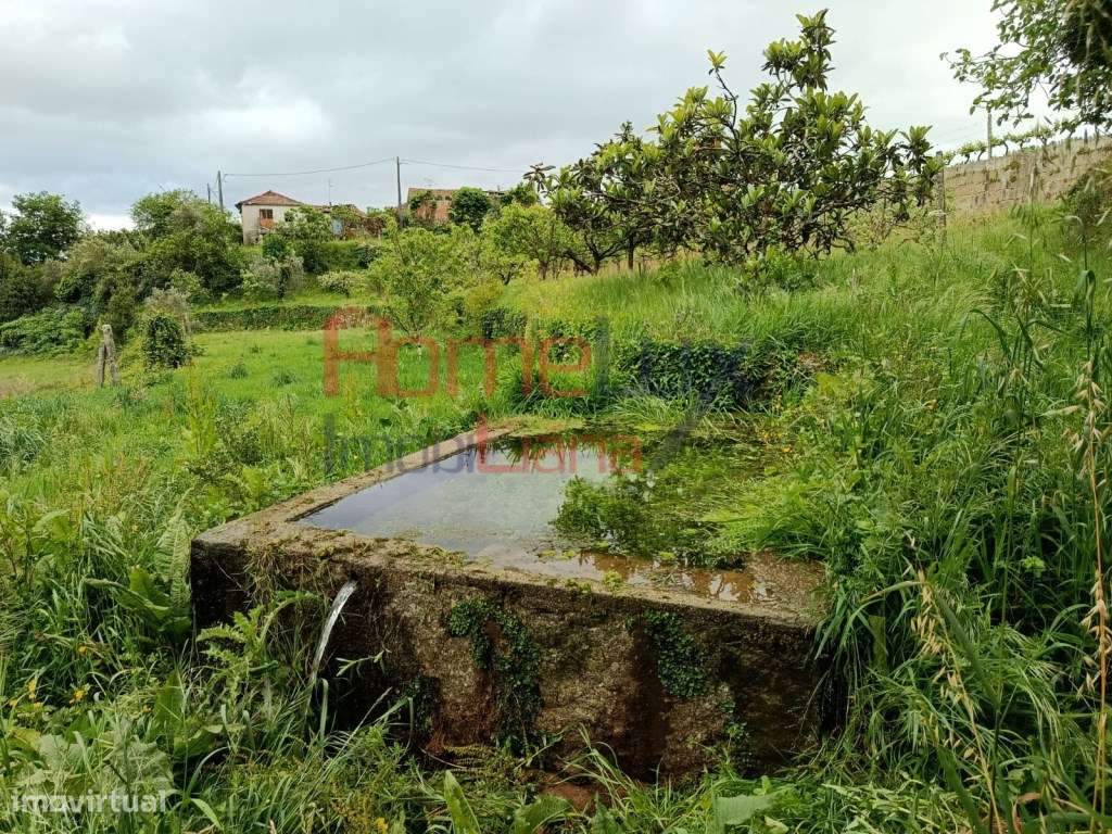 Quinta com Projeto para Turismo Rural em São Pedro do Sul-56