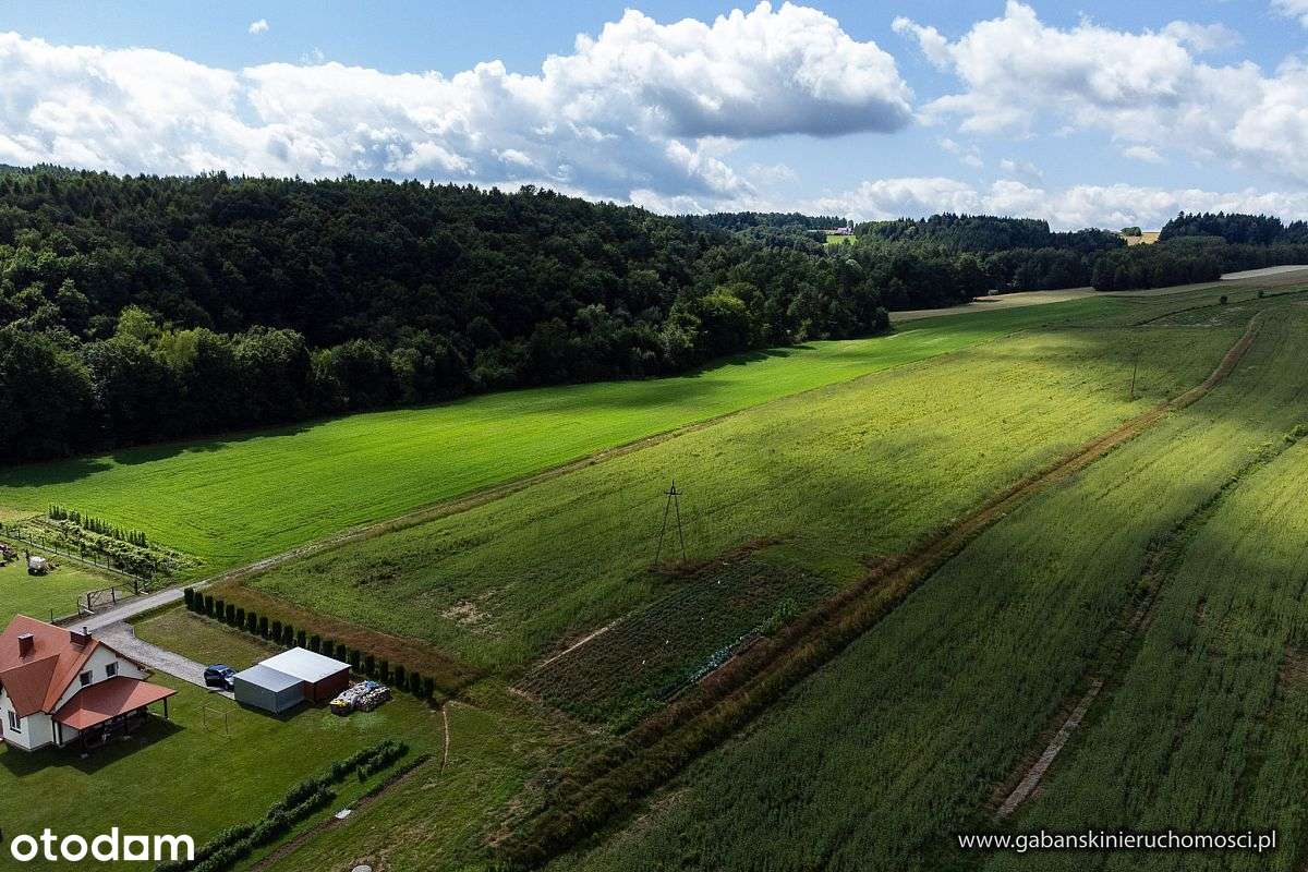 DZIAŁKA BUDOWLANA 27 AR W OLSZYNACH gm. RZEPIENNIK - Pełny obrazek: 5/12