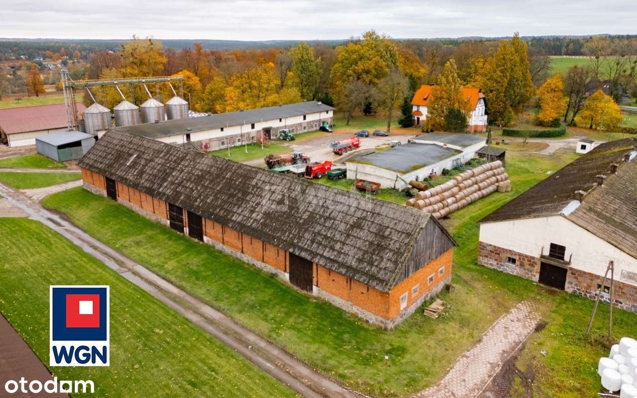 Na sprzedaż, Gospodarstwo Rolne- Ekologiczna Farma Mleczna, Wyczechowo-11