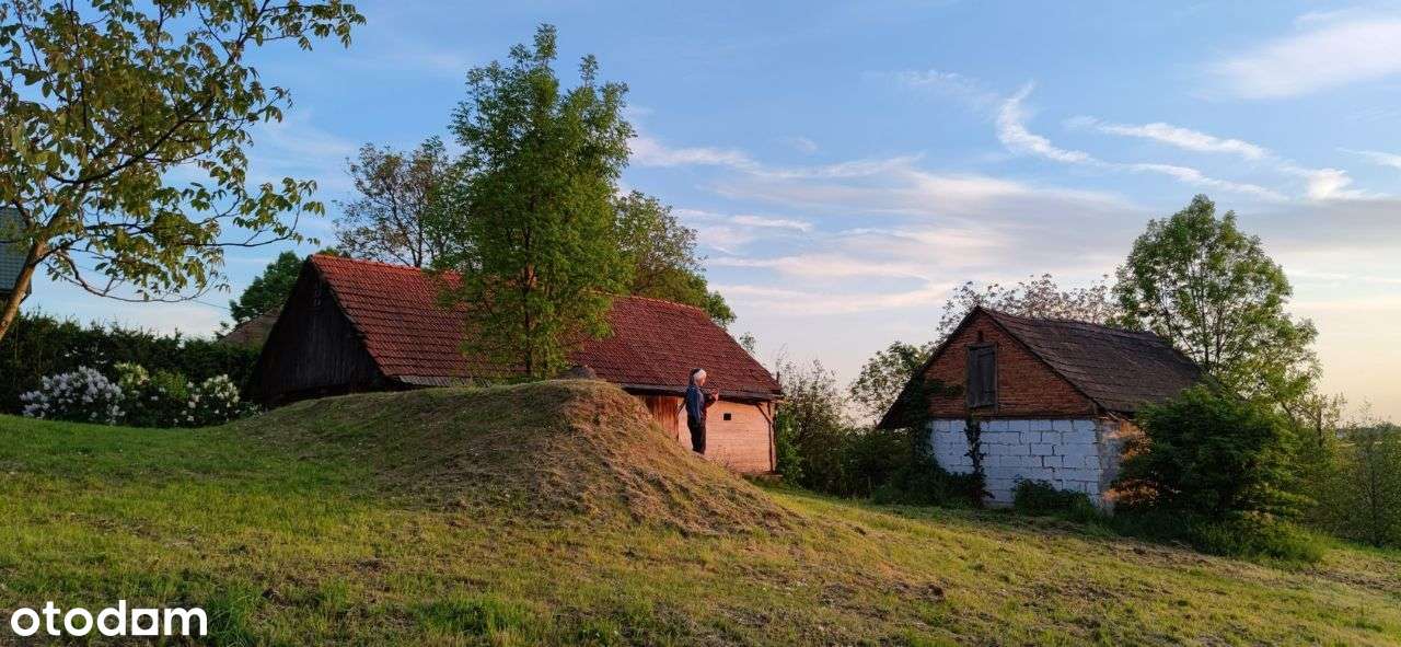 Duża działka/siedlisko, stary dom - Pełny obrazek: 5/6