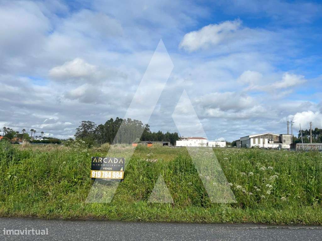 Terreno com 3.930 m² em Vagos. - Vista 5