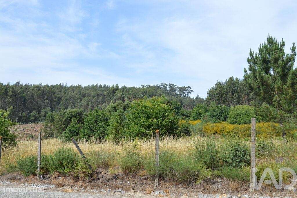 Terreno para construção em Termas de São Vicente de 83204,00 m2 - Grande imagem: 3/14