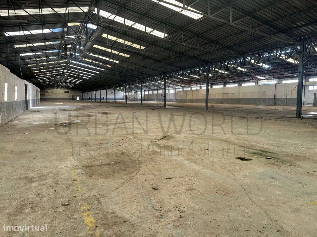 Armazém Industrial, Z. Industrial Torres Novas - Santarém, 12.056 m2-6