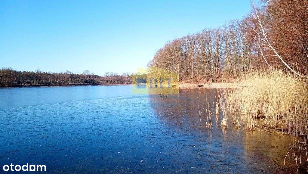 Działka 6066 m2, z dostępem do jeziora Kaleńsko-8