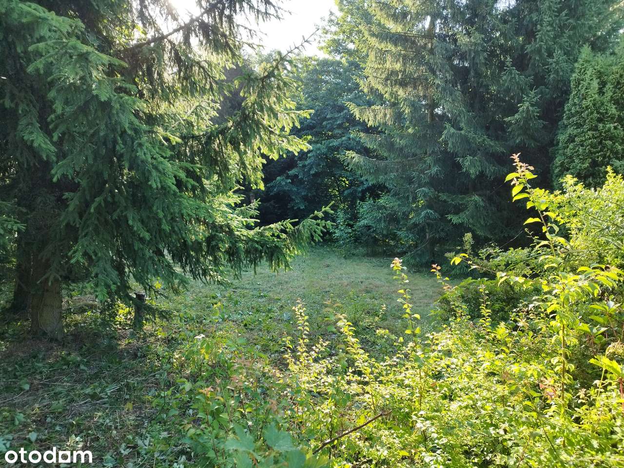 Działka nad rzeką , domek - wyjątkowa działka nad samą rzeką-10