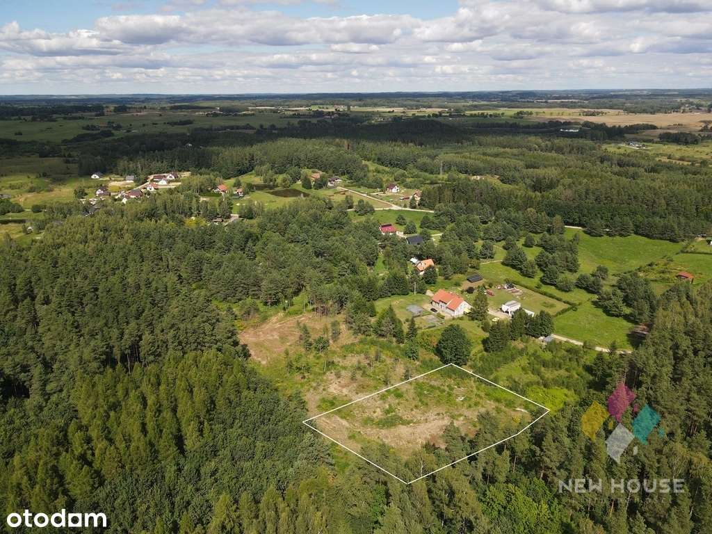 działka w sąsiedztwie lasu, z możliwością zabudowy - Pełny obrazek: 1/4