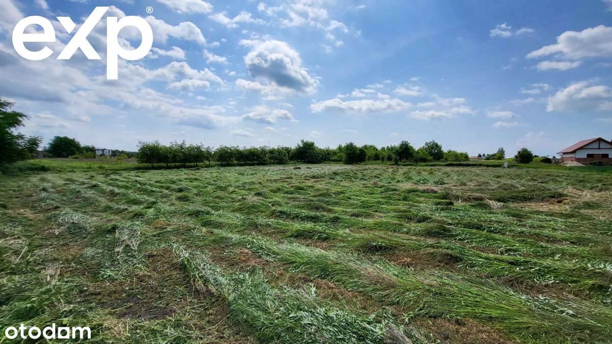 Działka | Pozwolenie na budowę | Projekt |Mrozów - Pełny obrazek: 4/9