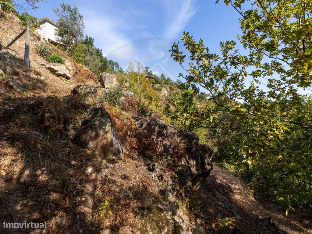 Propriedade com Vista Panorâmica para o Douro Moradia e Terreno com...-50