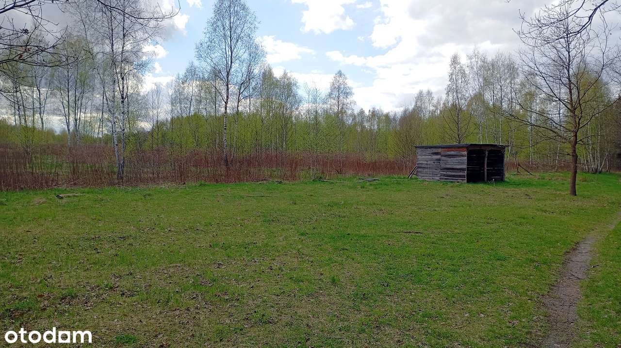 Wyjątkowa działka w super cenie... nie przegap! - Pełny obrazek: 5/6