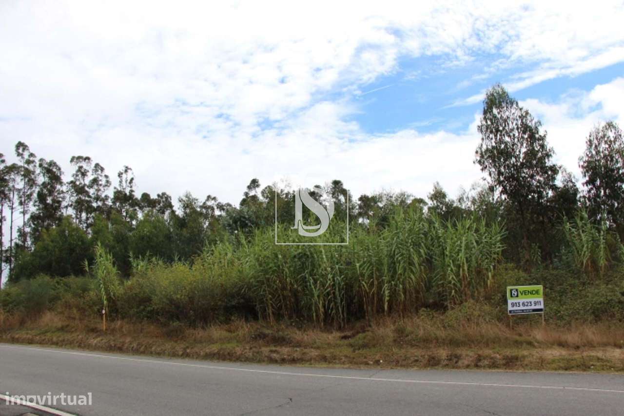 Terreno com 16.145m2 em Campo de Besteiros - Grande imagem: 2/5