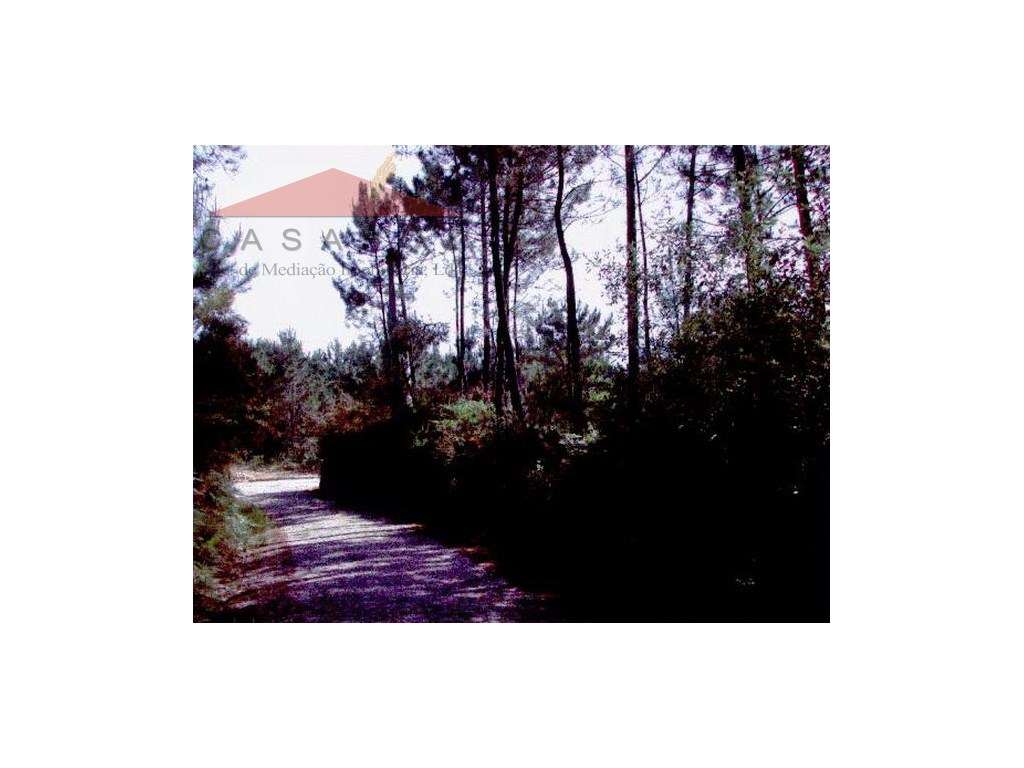 Venda Terreno Caminha - Grande imagem: 3/3