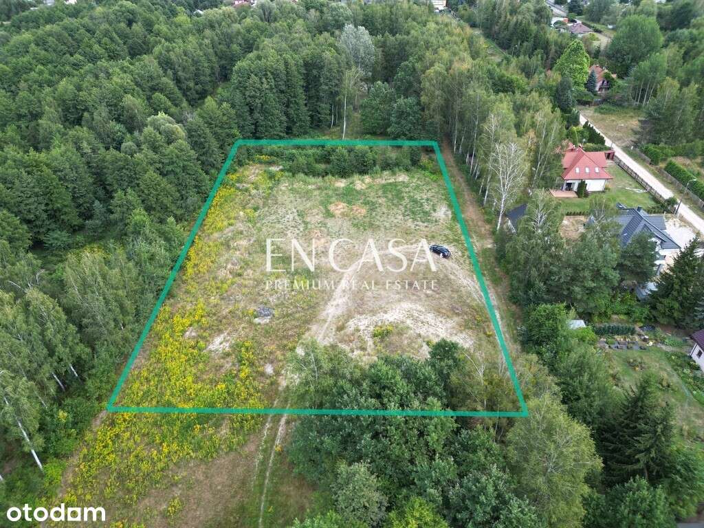 Działka 5047m2 z możliwością podziału - Pełny obrazek: 5/11