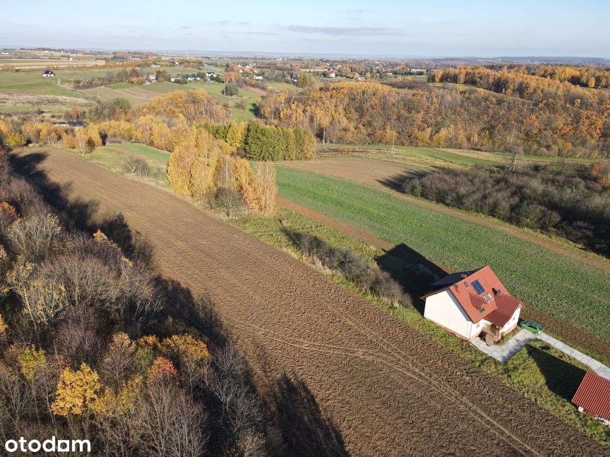 Działka Budowlana Szczodrkowice gmina Skała - Pełny obrazek: 5/13