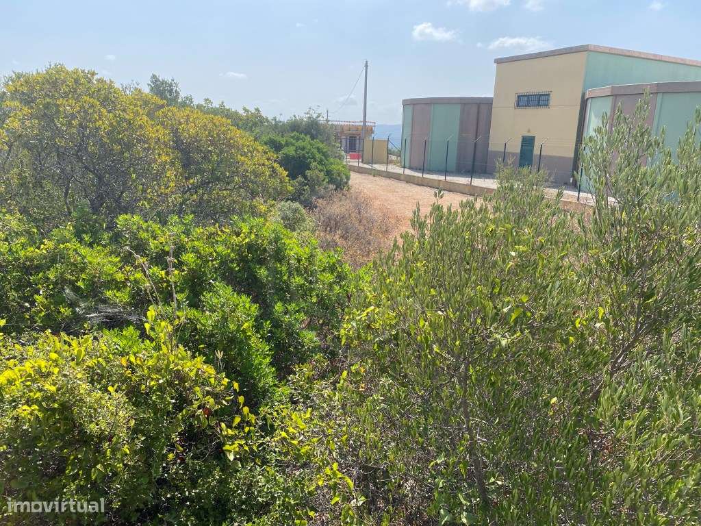 Lote de Terreno Rústico no Serro dos Passarinhos, Loulé, Algarve - Grande imagem: 3/20