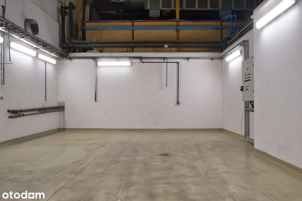 Powierzchnia magazynowo- produkcyjna 1147 m2 - Pełny obrazek: 4/4