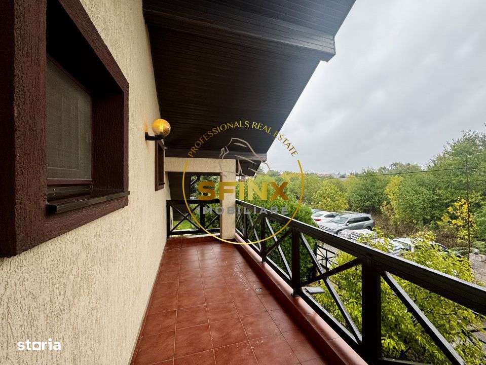 Casa 6 Camere, gradina spectaculoasa, Erou Iancu Nicolae-14