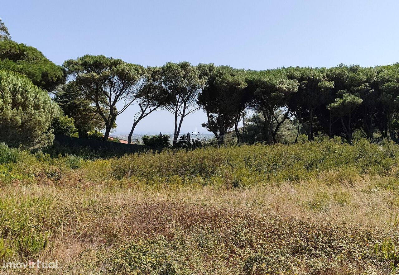 Terreno à venda em Janes - Cascais