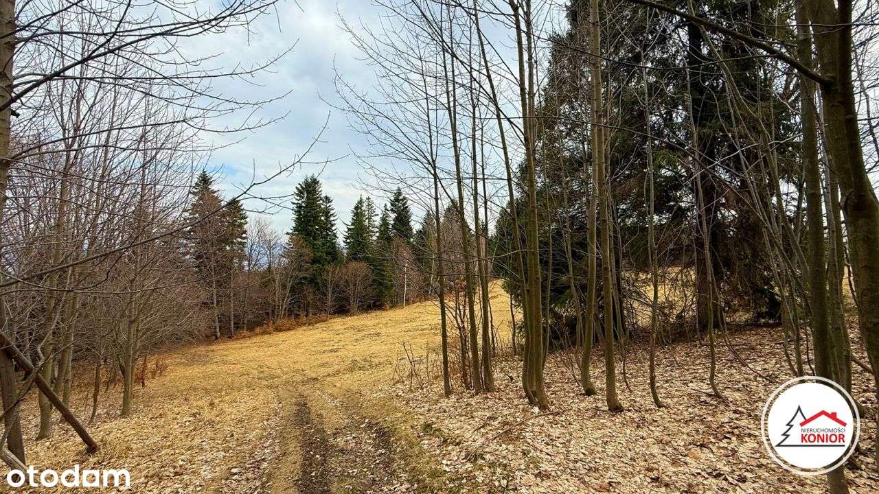 Działka na zboczu Skalitego . - Pełny obrazek: 5/9