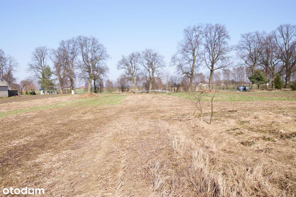 Działka budowlana Stoczek Kolonia 18ar lub więcej - Pełny obrazek: 4/9