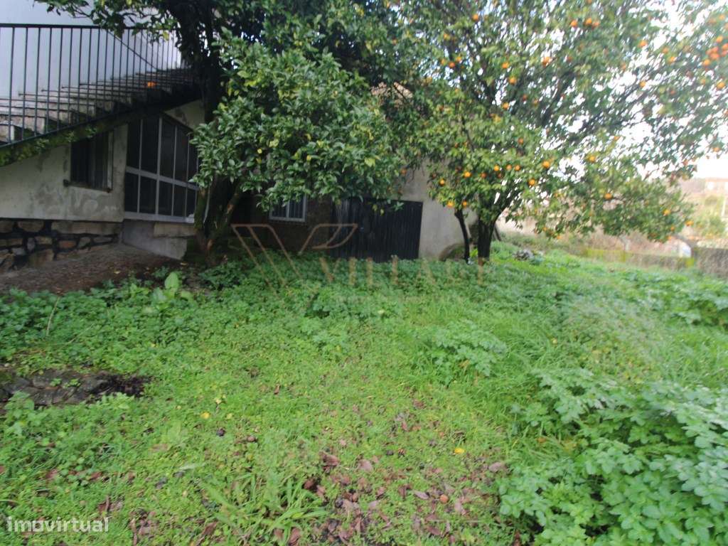 Moradia - Grande imagem: 5/20