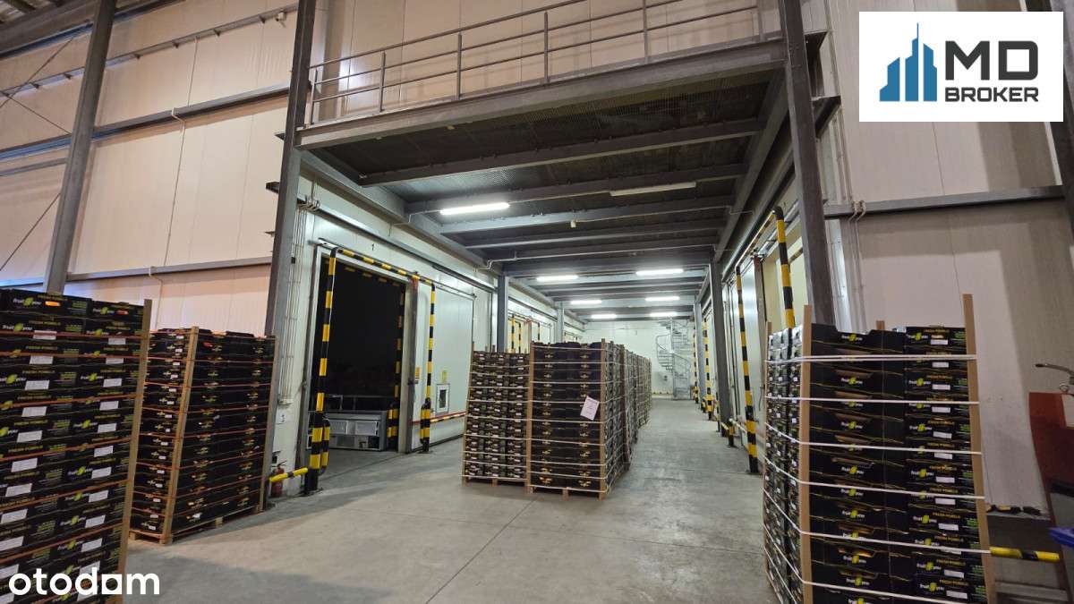 Obiekt produkcyjno-magazynowy + biura/działka 1,8h-6