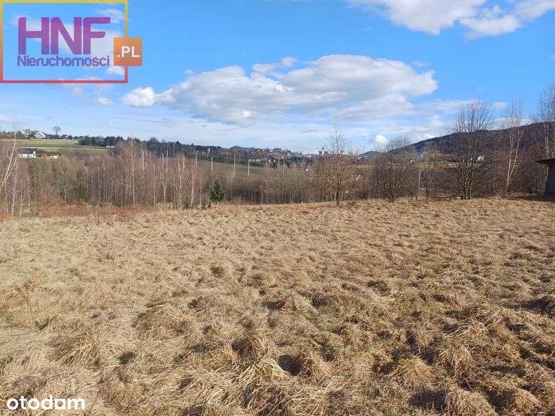 Działka budowlana 16ar Cieniawa - Pełny obrazek: 5/16