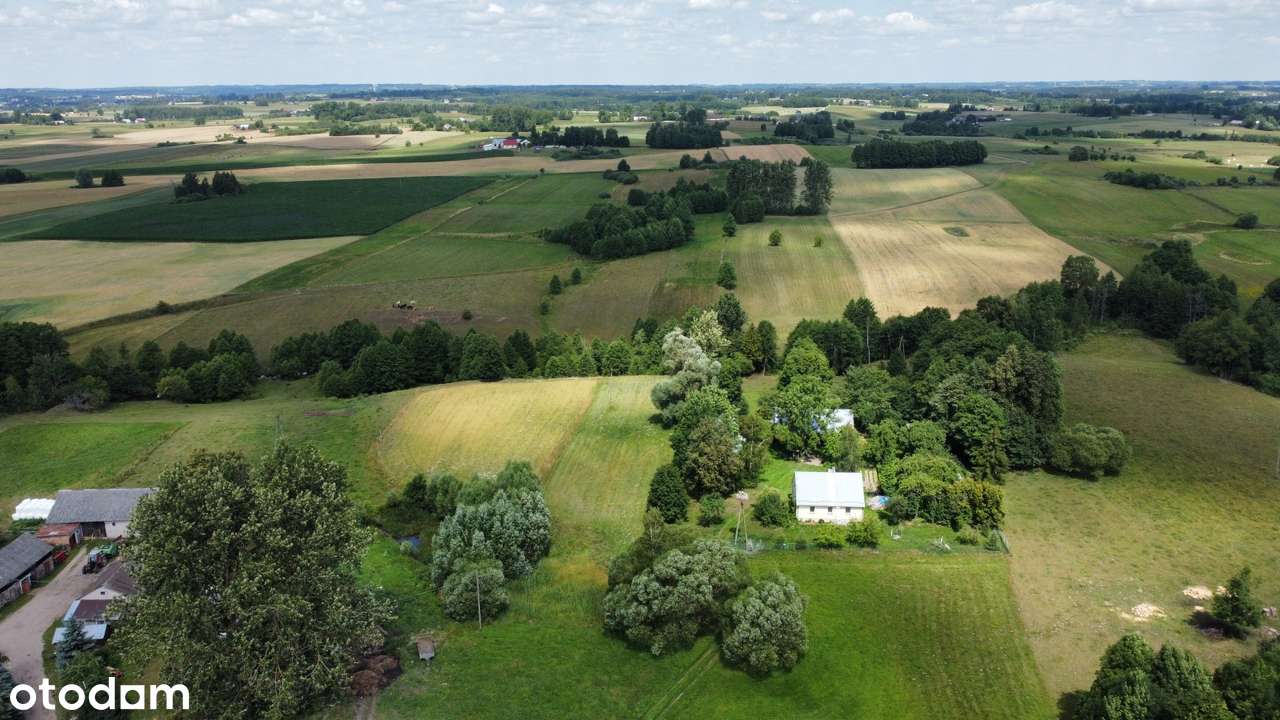 Filipów - Zusno - działka przy rzece - Pełny obrazek: 4/6