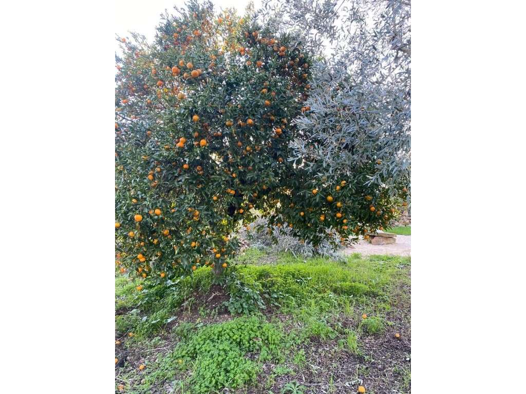 Moradia tipologia T2-22