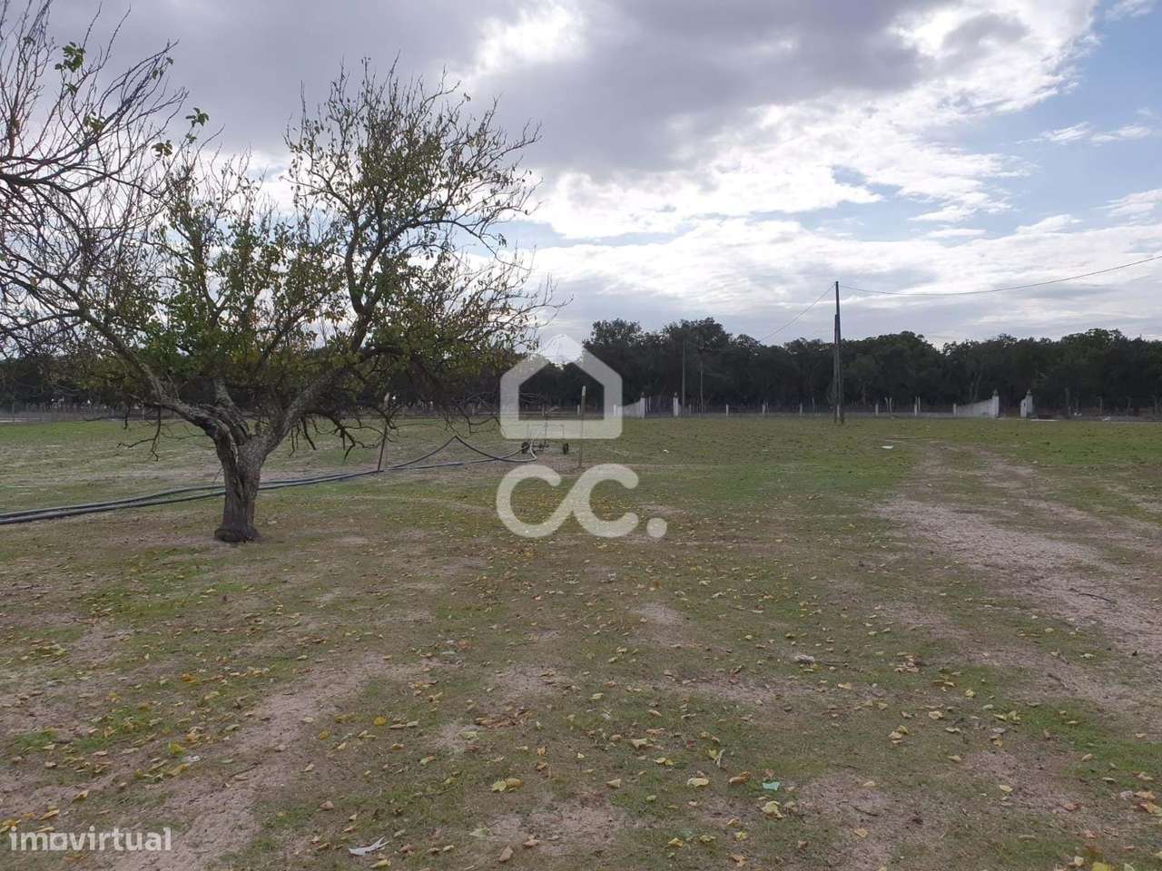 Quinta na Lagoa do Calvo em Poceirão, Palmela - excelente oportunidade-6