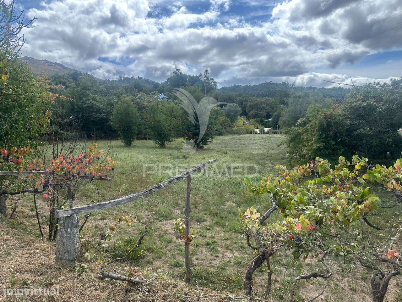 Terreno à venda em Ponte de Lima com cerca de 10.100 m² - Grande imagem: 2/4