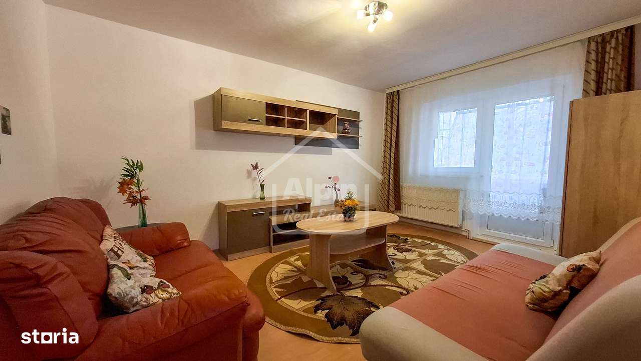 Suprafata Generoasa I Zona Gemenii-9