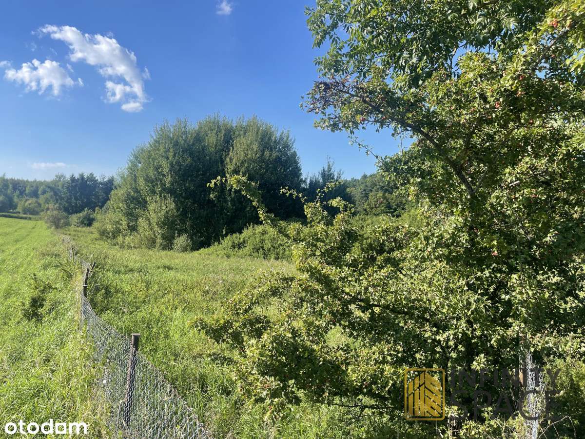 Frombork | Mpzp pod jednorodzinną lub usługi-6